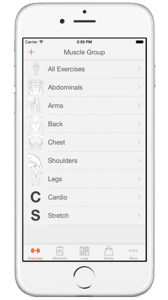 fitnessstudio-app-fitness-point-muskelgruppen Die Übungen werden in Muskelgruppen aufgeteilt
